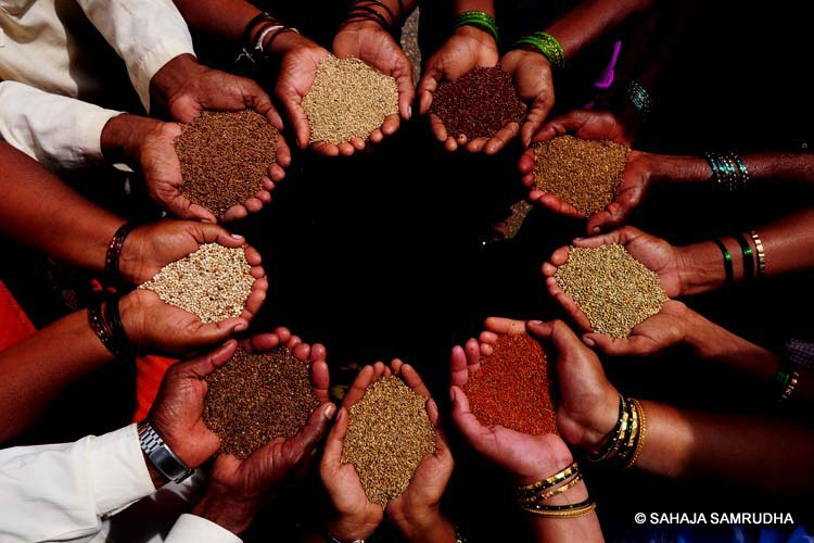 ದೇಸಿ ಬೀಜಗಳನ್ನು ಜೋಪಾನ ಮಾಡಿ…