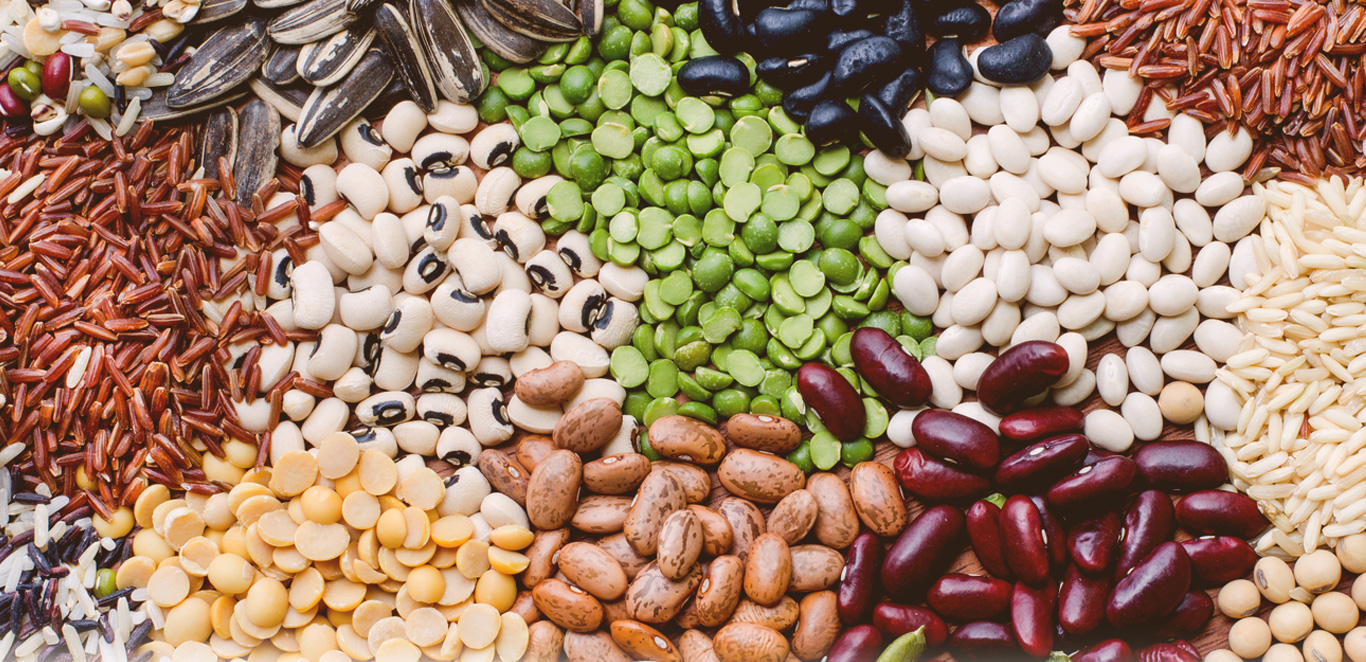 ದಾವಣಗೆರೆಯಲ್ಲಿ ಸಂಭ್ರಮಿಸಲಿರುವ ಬೀಜ ವೈಭವ  …